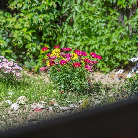 Holiday home Popi On The Of Agios Gordios *